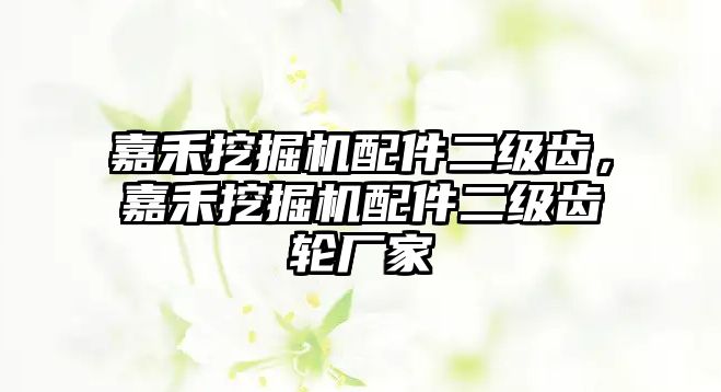 嘉禾挖掘機配件二級齒，嘉禾挖掘機配件二級齒輪廠家