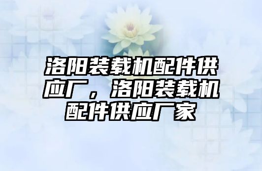 洛陽裝載機配件供應廠，洛陽裝載機配件供應廠家