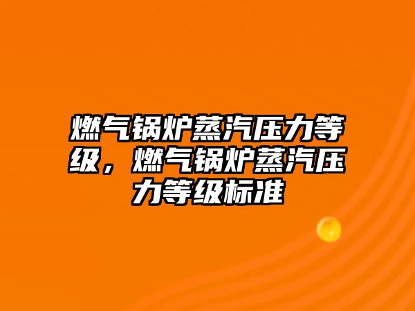 燃?xì)忮仩t蒸汽壓力等級(jí)，燃?xì)忮仩t蒸汽壓力等級(jí)標(biāo)準(zhǔn)