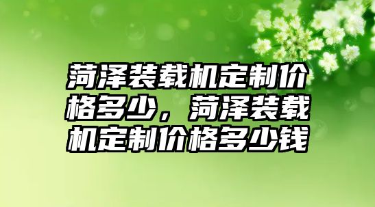 菏澤裝載機定制價格多少，菏澤裝載機定制價格多少錢