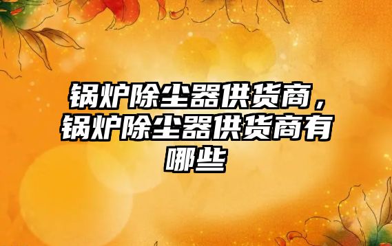 鍋爐除塵器供貨商，鍋爐除塵器供貨商有哪些