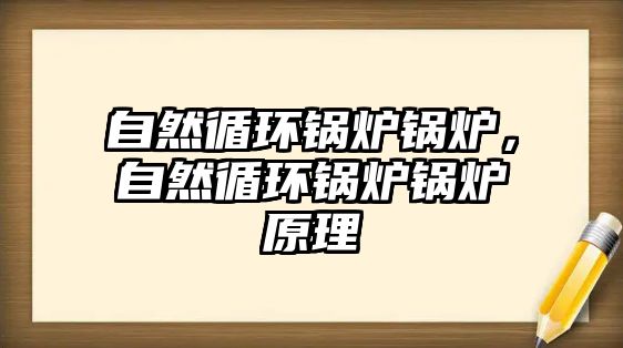 自然循環鍋爐鍋爐，自然循環鍋爐鍋爐原理