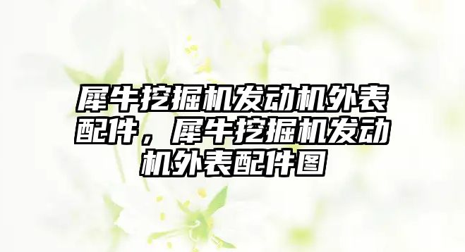 犀牛挖掘機發(fā)動機外表配件，犀牛挖掘機發(fā)動機外表配件圖