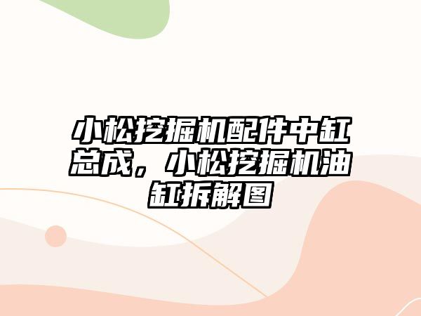 小松挖掘機配件中缸總成，小松挖掘機油缸拆解圖