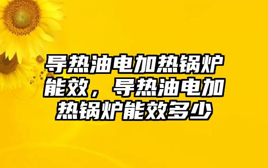 導熱油電加熱鍋爐能效，導熱油電加熱鍋爐能效多少