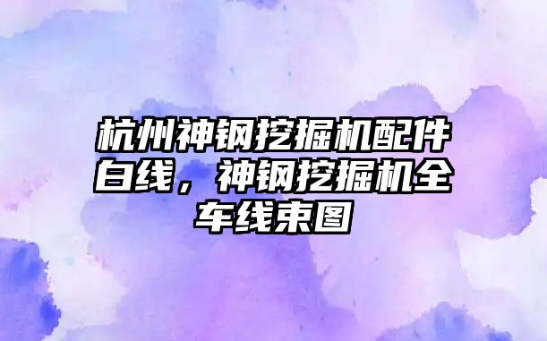 杭州神鋼挖掘機配件白線，神鋼挖掘機全車線束圖