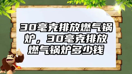 30毫克排放燃氣鍋爐，30毫克排放燃氣鍋爐多少錢