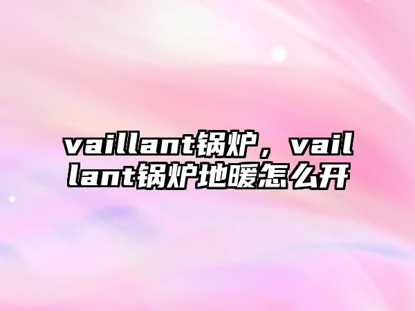 vaillant鍋爐，vaillant鍋爐地暖怎么開