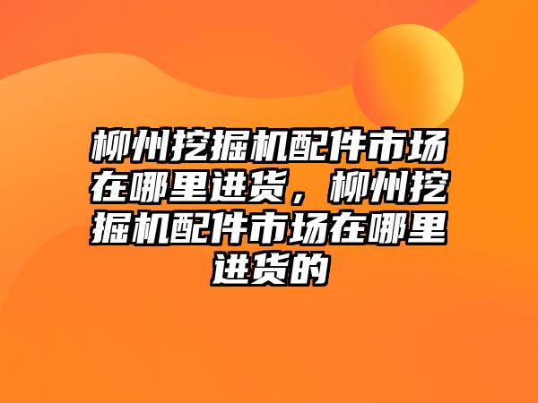 柳州挖掘機配件市場在哪里進貨，柳州挖掘機配件市場在哪里進貨的