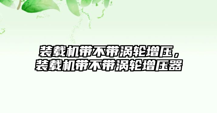 裝載機帶不帶渦輪增壓，裝載機帶不帶渦輪增壓器