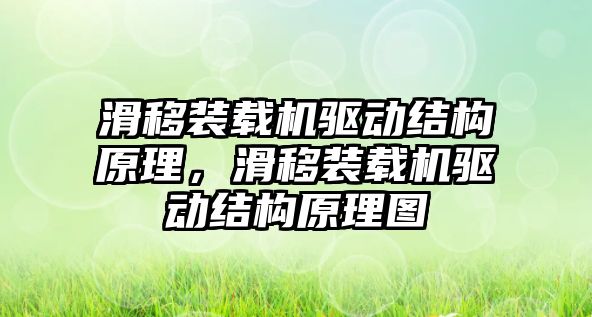 滑移裝載機驅動結構原理，滑移裝載機驅動結構原理圖