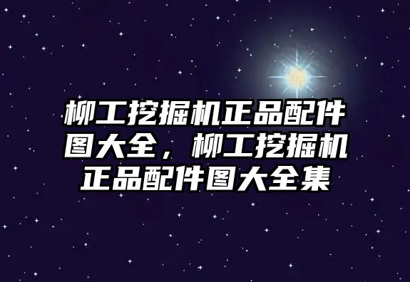 柳工挖掘機(jī)正品配件圖大全，柳工挖掘機(jī)正品配件圖大全集