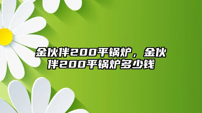 金伙伴200平鍋爐，金伙伴200平鍋爐多少錢