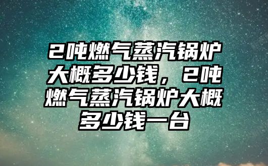 2噸燃氣蒸汽鍋爐大概多少錢，2噸燃氣蒸汽鍋爐大概多少錢一臺