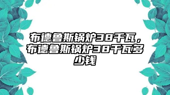 布德魯斯鍋爐38千瓦，布德魯斯鍋爐38千瓦多少錢