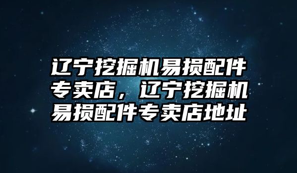 遼寧挖掘機易損配件專賣店，遼寧挖掘機易損配件專賣店地址