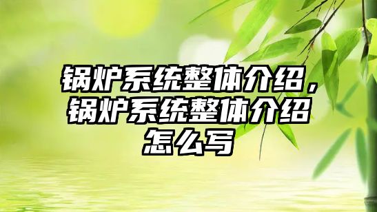 鍋爐系統整體介紹，鍋爐系統整體介紹怎么寫