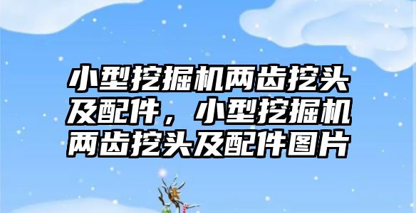 小型挖掘機兩齒挖頭及配件，小型挖掘機兩齒挖頭及配件圖片