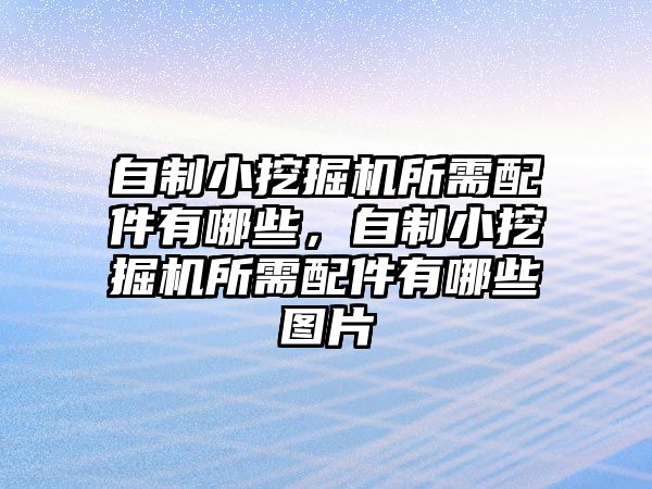 自制小挖掘機所需配件有哪些，自制小挖掘機所需配件有哪些圖片