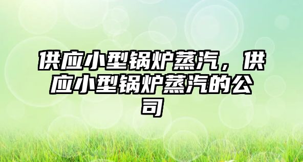 供應小型鍋爐蒸汽，供應小型鍋爐蒸汽的公司