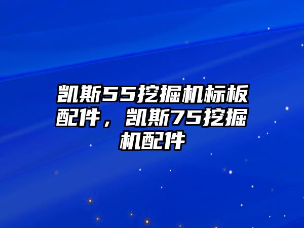 凱斯55挖掘機(jī)標(biāo)板配件，凱斯75挖掘機(jī)配件