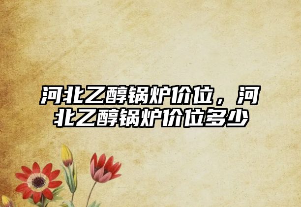 河北乙醇鍋爐價(jià)位，河北乙醇鍋爐價(jià)位多少