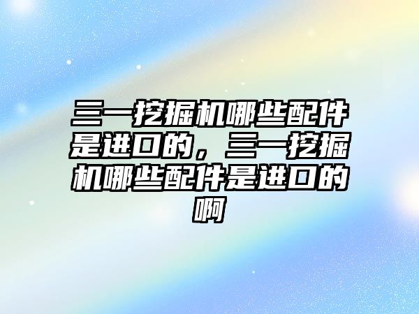 三一挖掘機哪些配件是進(jìn)口的，三一挖掘機哪些配件是進(jìn)口的啊