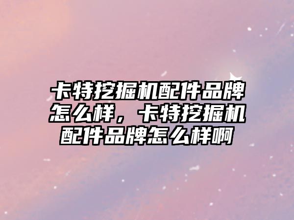 卡特挖掘機配件品牌怎么樣，卡特挖掘機配件品牌怎么樣啊