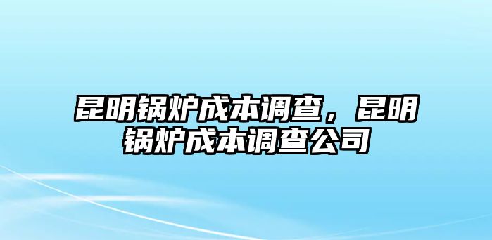 昆明鍋爐成本調查，昆明鍋爐成本調查公司