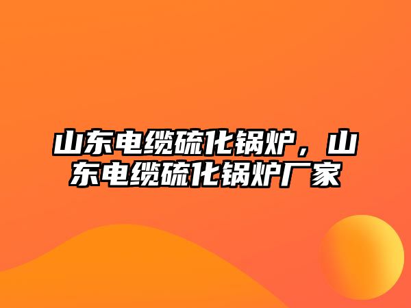 山東電纜硫化鍋爐，山東電纜硫化鍋爐廠家