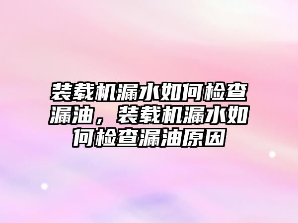 裝載機漏水如何檢查漏油，裝載機漏水如何檢查漏油原因