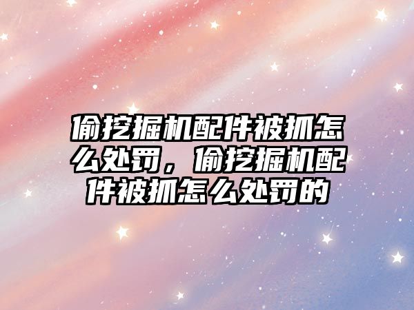 偷挖掘機配件被抓怎么處罰，偷挖掘機配件被抓怎么處罰的