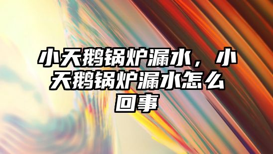 小天鵝鍋爐漏水，小天鵝鍋爐漏水怎么回事