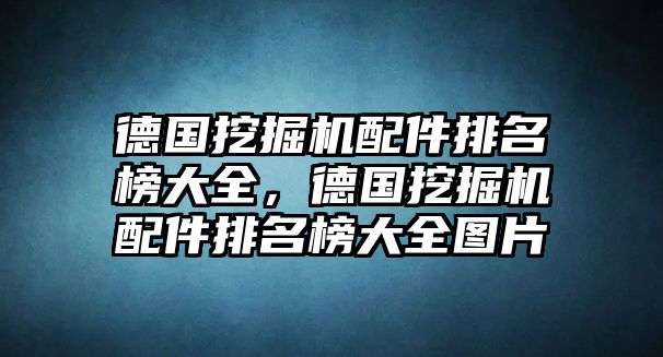 德國挖掘機配件排名榜大全，德國挖掘機配件排名榜大全圖片