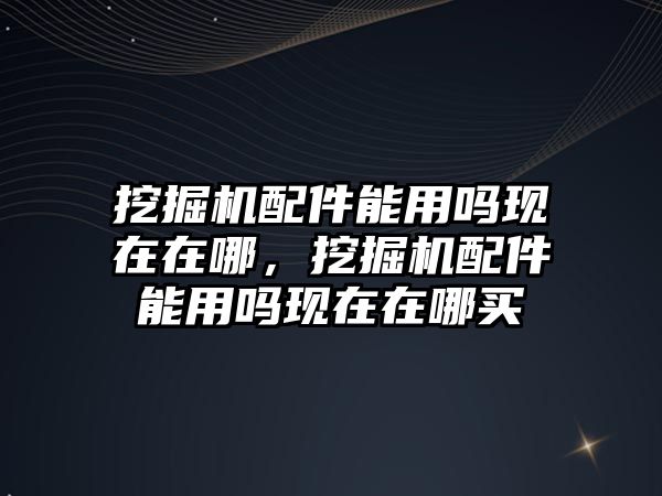 挖掘機配件能用嗎現(xiàn)在在哪，挖掘機配件能用嗎現(xiàn)在在哪買