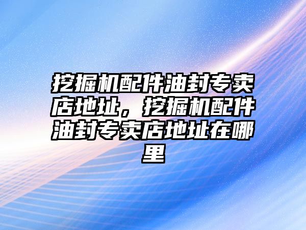 挖掘機(jī)配件油封專賣店地址，挖掘機(jī)配件油封專賣店地址在哪里