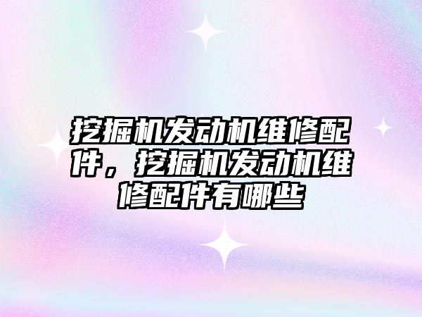 挖掘機發(fā)動機維修配件，挖掘機發(fā)動機維修配件有哪些