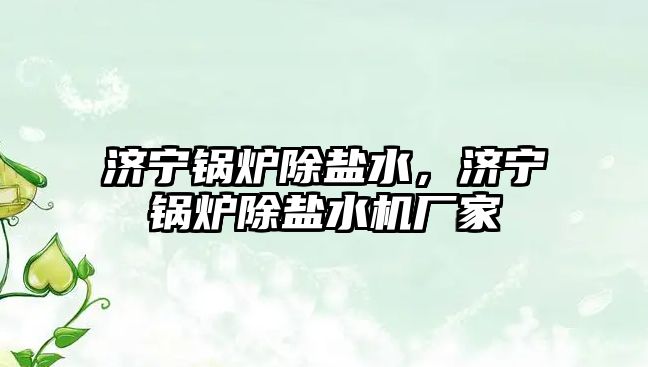 濟寧鍋爐除鹽水，濟寧鍋爐除鹽水機廠家