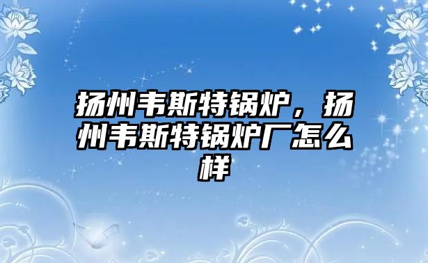 揚(yáng)州韋斯特鍋爐，揚(yáng)州韋斯特鍋爐廠怎么樣