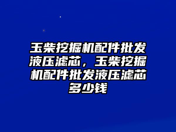 玉柴挖掘機(jī)配件批發(fā)液壓濾芯，玉柴挖掘機(jī)配件批發(fā)液壓濾芯多少錢(qián)