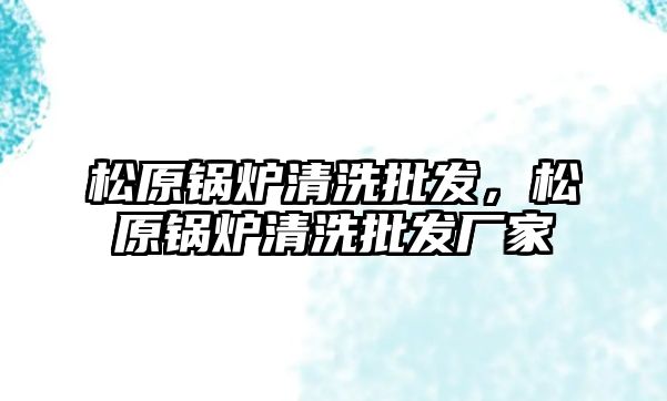 松原鍋爐清洗批發，松原鍋爐清洗批發廠家