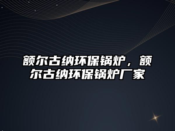 額爾古納環保鍋爐，額爾古納環保鍋爐廠家