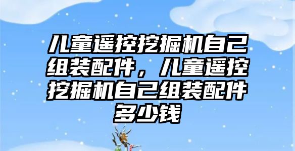 兒童遙控挖掘機自己組裝配件，兒童遙控挖掘機自己組裝配件多少錢