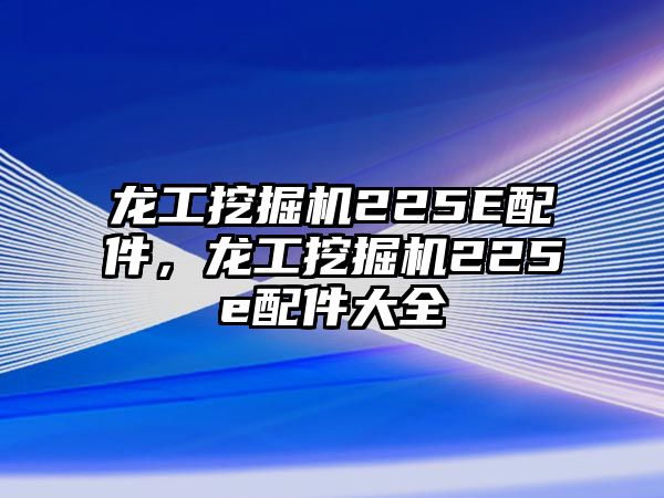 龍工挖掘機225E配件，龍工挖掘機225e配件大全