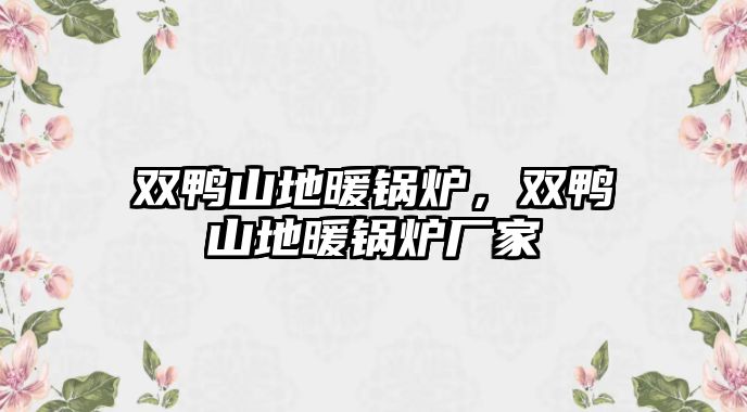 雙鴨山地暖鍋爐，雙鴨山地暖鍋爐廠家