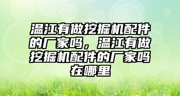 溫江有做挖掘機配件的廠家嗎，溫江有做挖掘機配件的廠家嗎在哪里