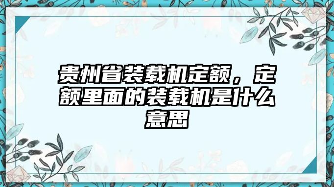 貴州省裝載機定額，定額里面的裝載機是什么意思