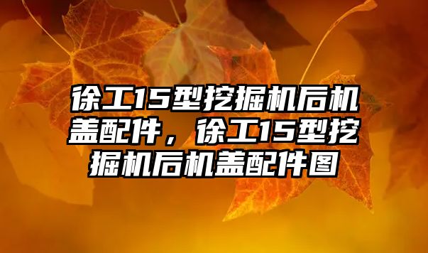 徐工15型挖掘機后機蓋配件，徐工15型挖掘機后機蓋配件圖