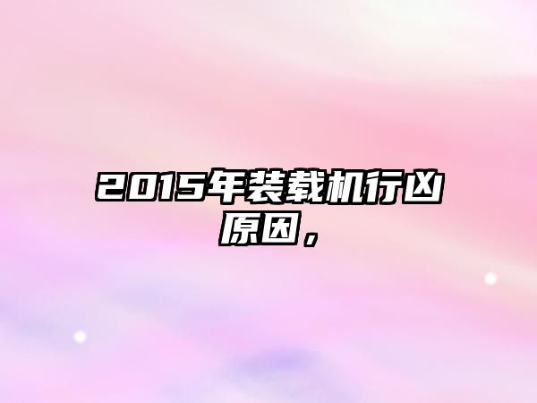 2015年裝載機行兇原因，