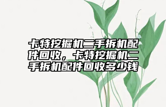 卡特挖掘機二手拆機配件回收，卡特挖掘機二手拆機配件回收多少錢